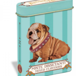 Pastiglie Leone  Mixed Flavours Candy